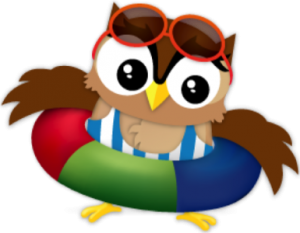a cute summer owl